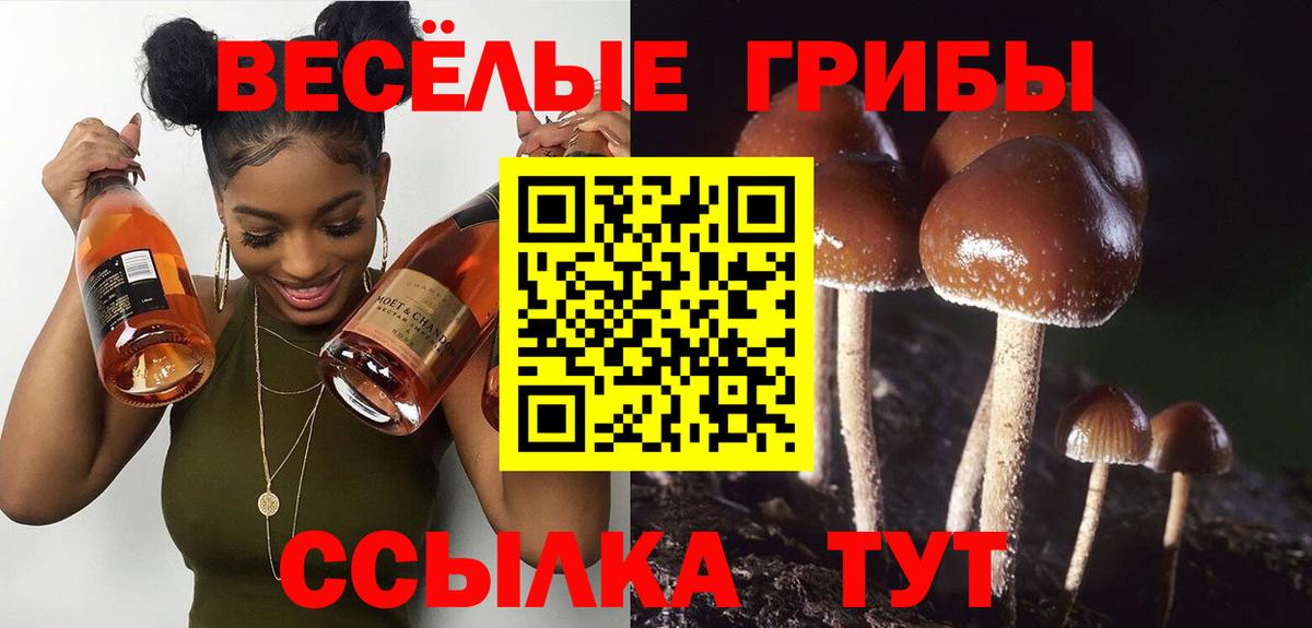 Галлюциногенные грибы ЛСД  что такое наркотик  Михайловск  Вход с VPN 